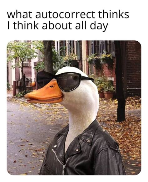 duck memes|duck meme images free.